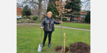Cllr Jenny Bokor planting an oak tree in Queen's Park to mark Her Majesty The Queen's Platinum Jubilee