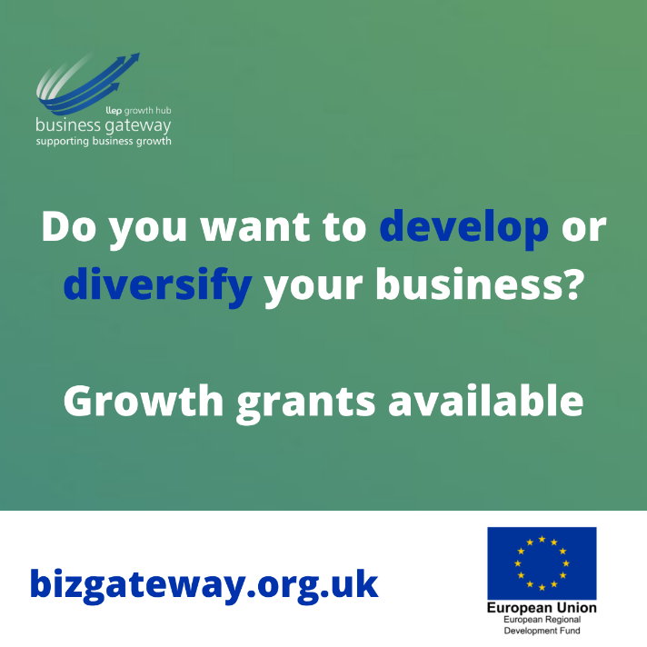 The picture is a promotional graphic for the Business Growth Grant.